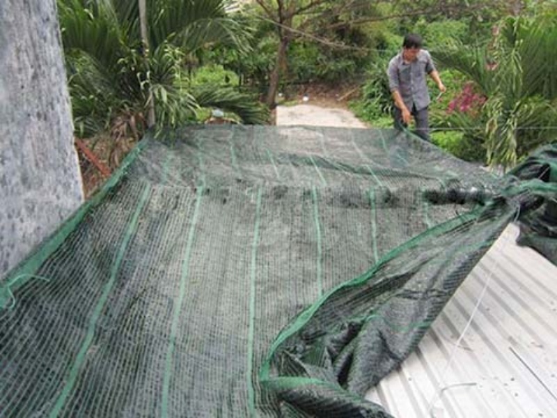 3-nguyen-tac-giup-chong-nong-mai-ton-hieu-qua9